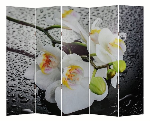 Ширма 1111-5 "Белая орхидея и капли" (5 панелей)
